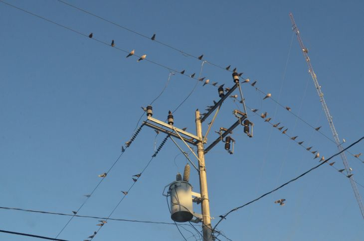 La demanda de energía incrementa en la Península de Yucatán